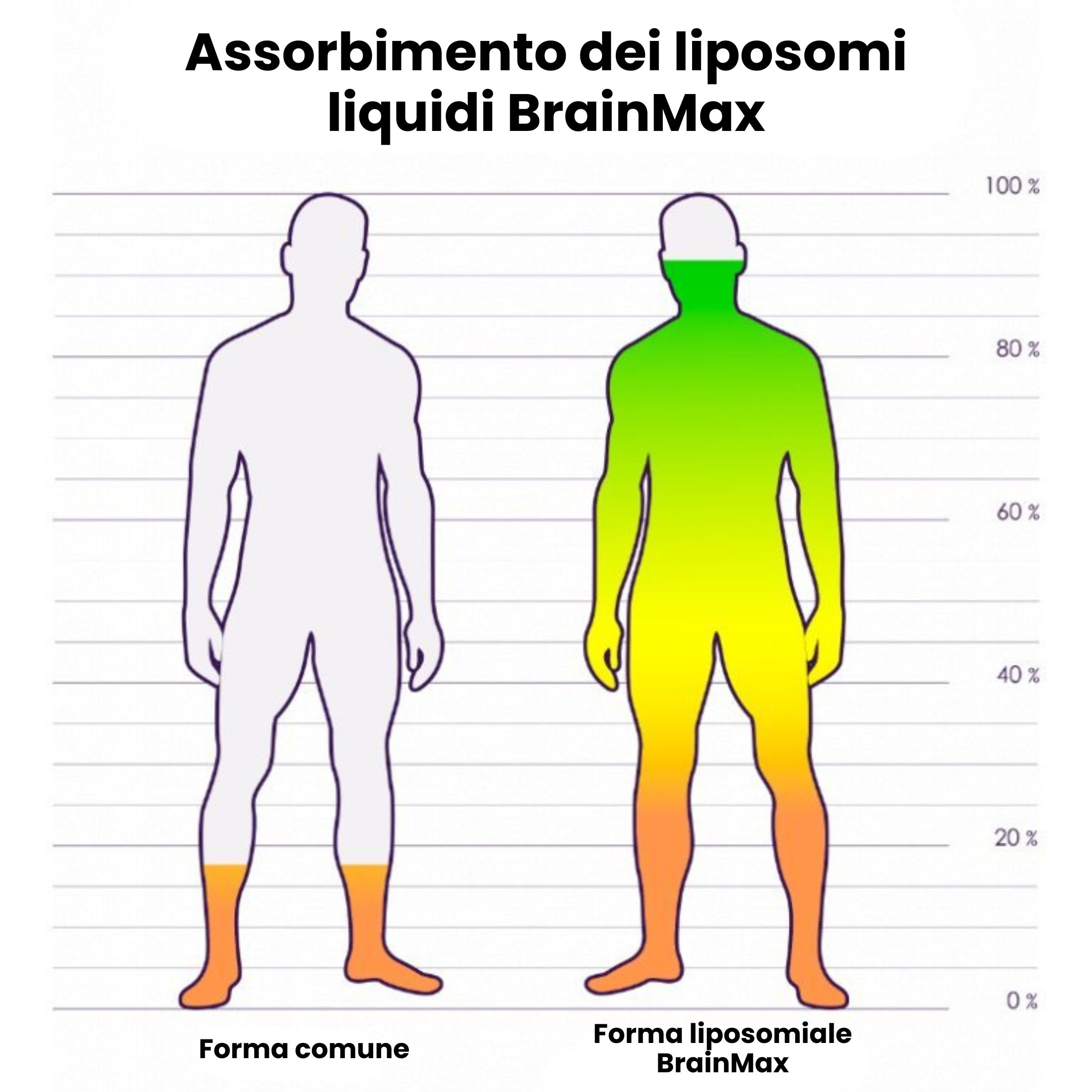 (Italština)